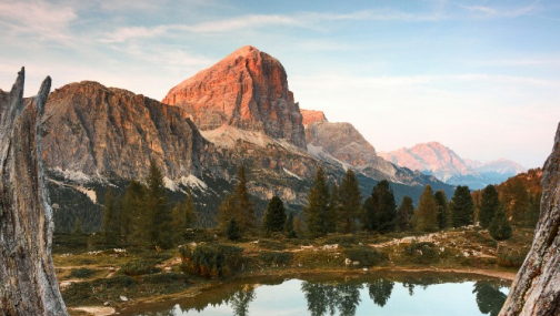 services-01 Services 01