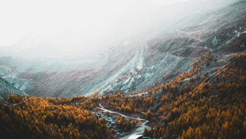 services-02 Services 02